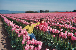Pics/tulips_pink_and_brigid.jpg - 6