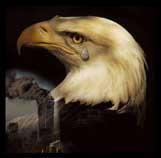 Crying Eagle-2