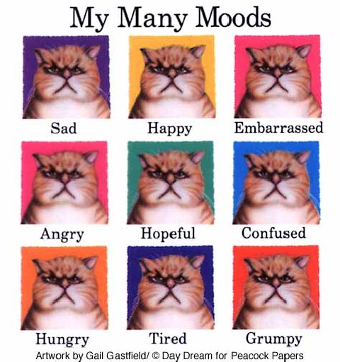  many_moods.jpg 