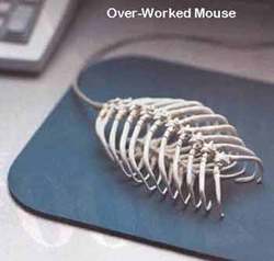 Pics/over_worked_mouse.jpg - 15